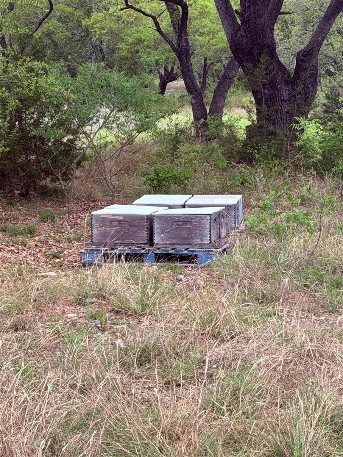 https://bt-photos.global.ssl.fastly.net/austin/1280_boomver_1_4861555-2.jpg