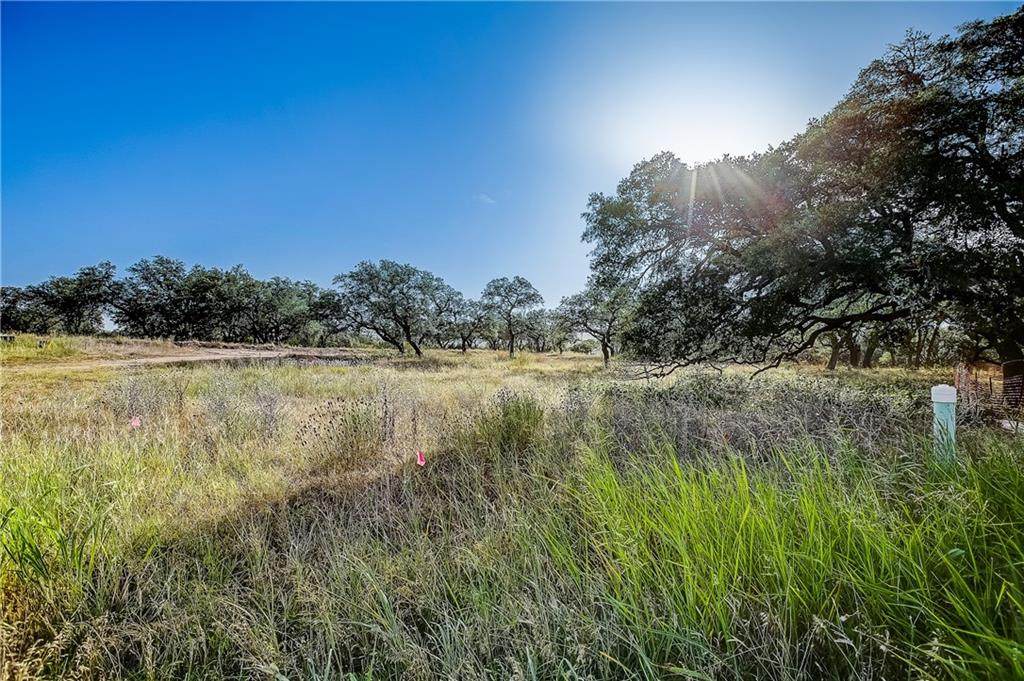 445 Crosswater Ln - Photo 1