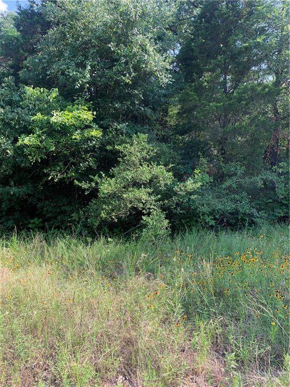 000 Foothill Rd - Photo 1