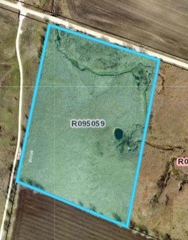 Tract 8 County Road 422 - Photo 1