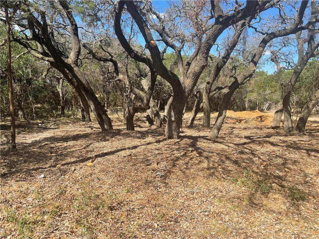 21321 Paseo De Vaca Dr - Photo 1
