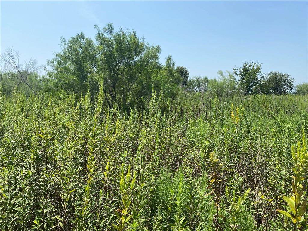 10821 Hokanson Ct - Photo 1