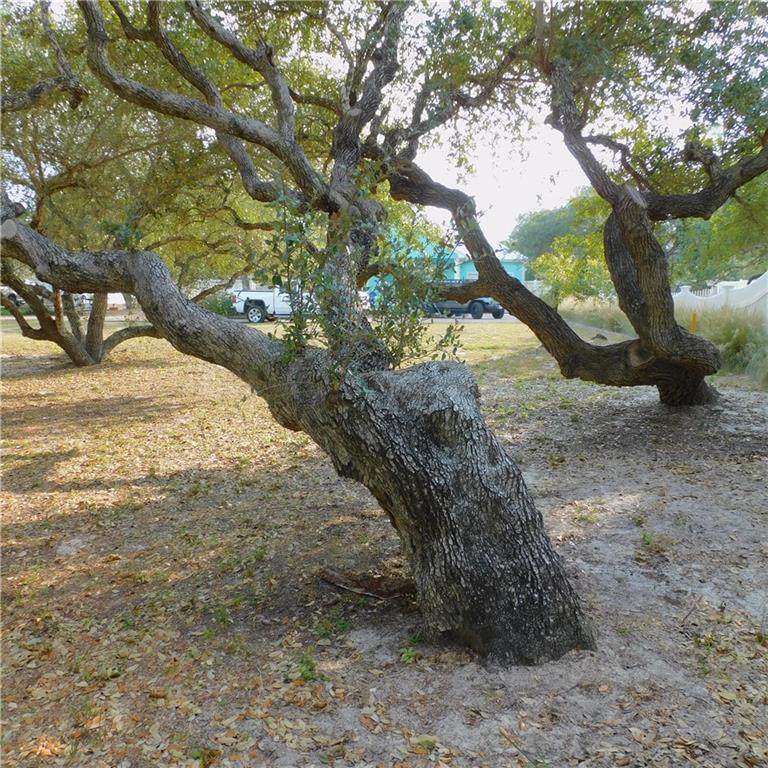 Lots 36 & 57 Old Cottage Beach Dr - Photo 1