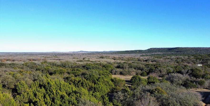 14209 County Road 397 - Photo 1