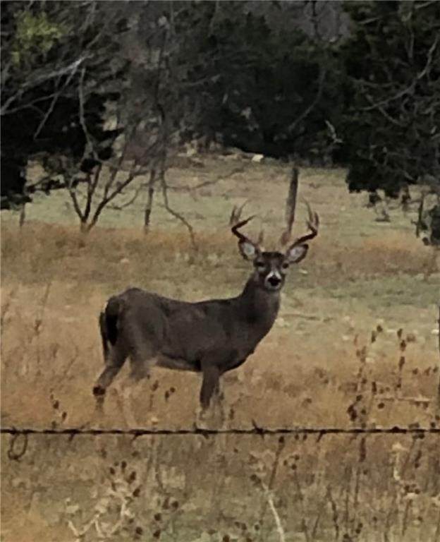 0000 County Road 2337 - Photo 1