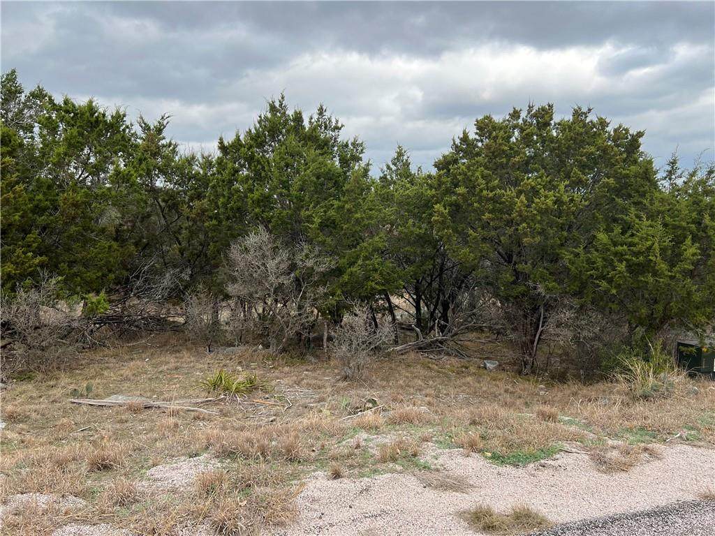 515 Appaloosa - Photo 1