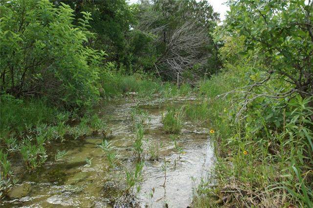 Tract 3B County Road 236 - Photo 1