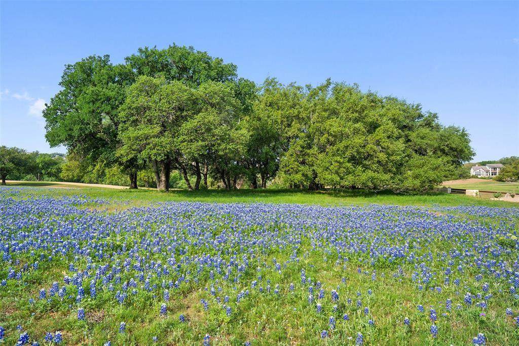 https://bt-photos.global.ssl.fastly.net/austin/orig_boomver_2_7230888-2.jpg