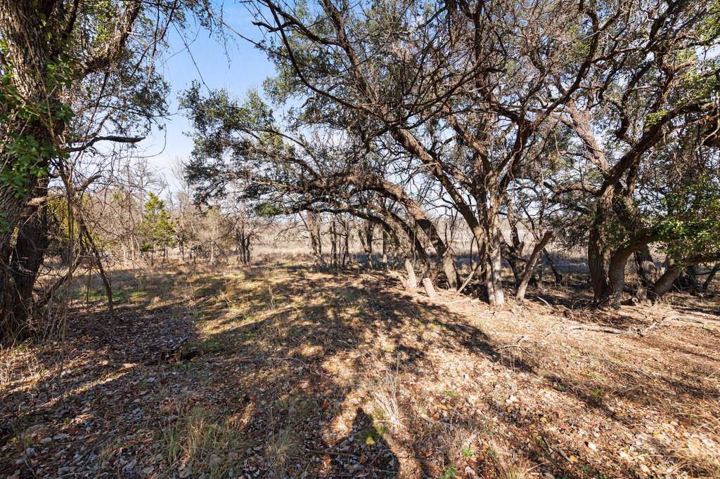1000 River Ranch Rd. Rd - Photo 1
