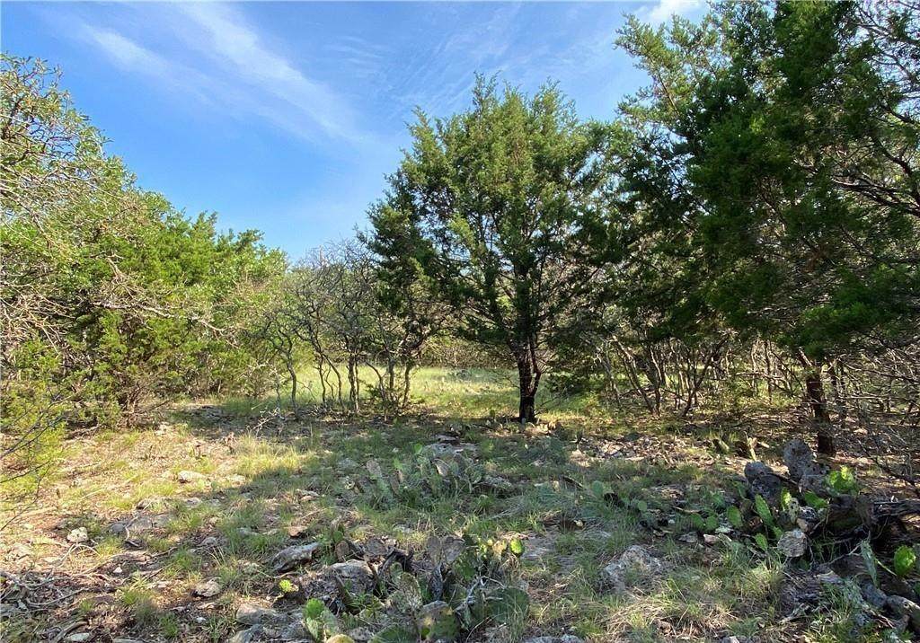 1403 Buckboard Trl - Photo 1