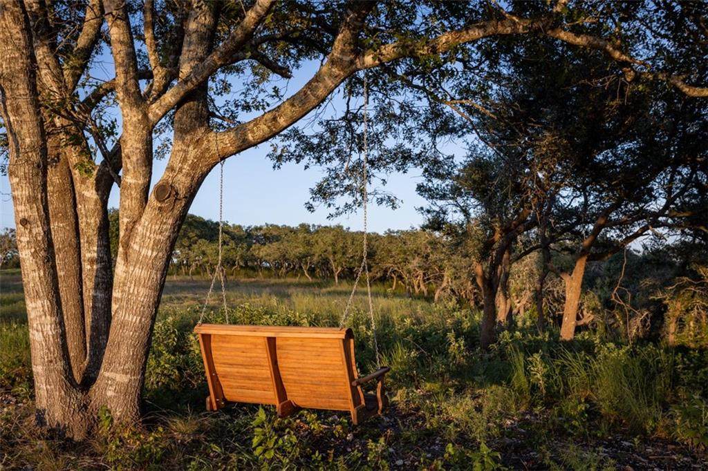 24 Twisted Oak Trl - Photo 1
