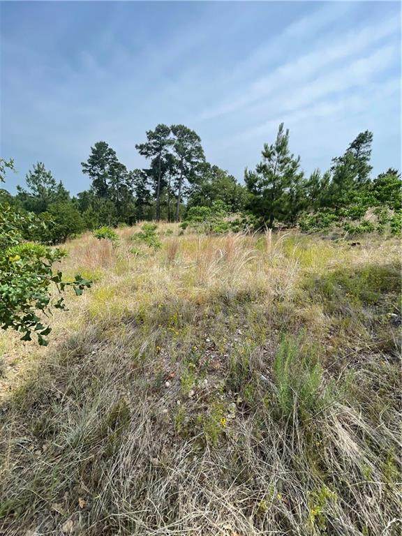 TBD Mauna Kea Ln - Photo 1