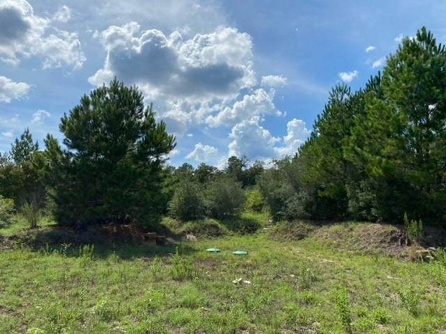 425 Kelley Rd - Photo 1