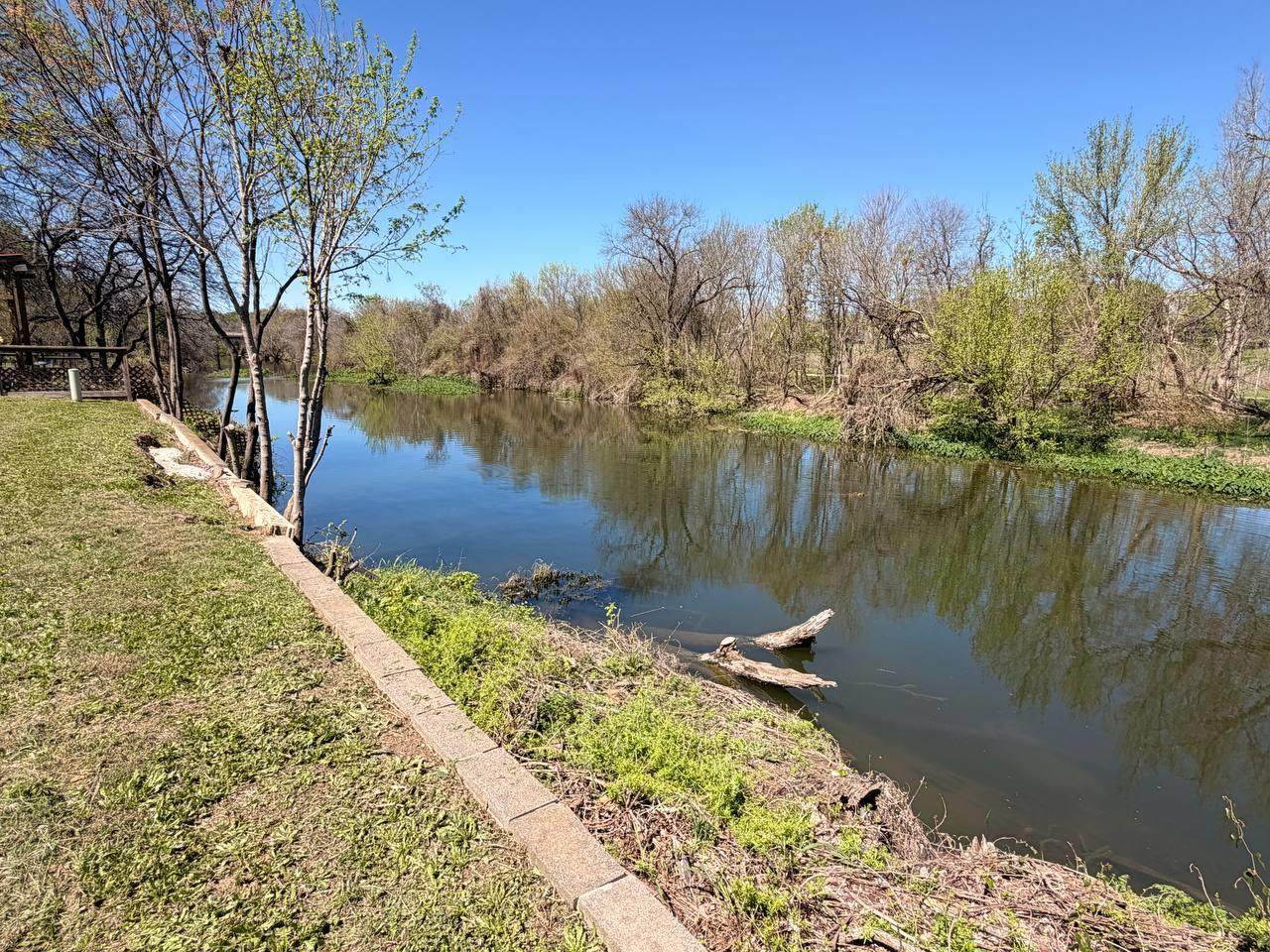 1108 Brushy Creek Dr - Photo 1