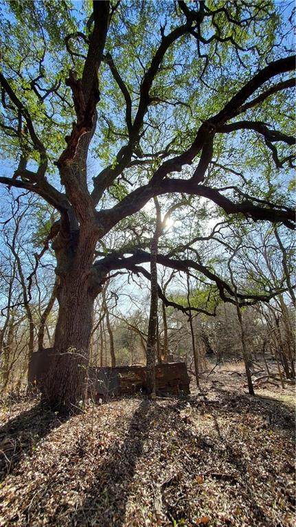 LOT 5 Young Ln - Photo 1
