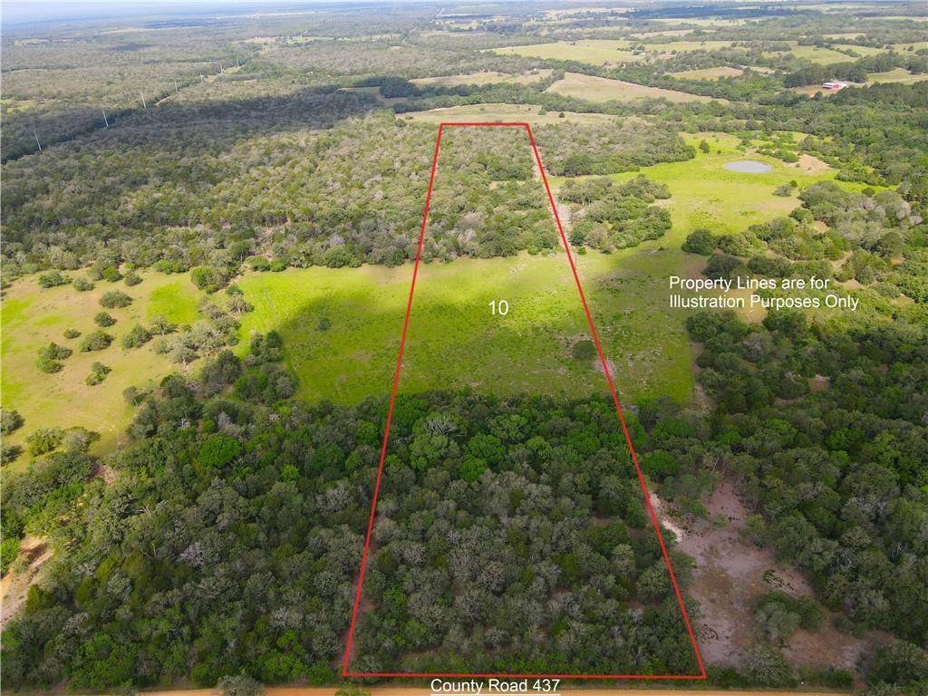 TBD County Road 437 #10 - Photo 1
