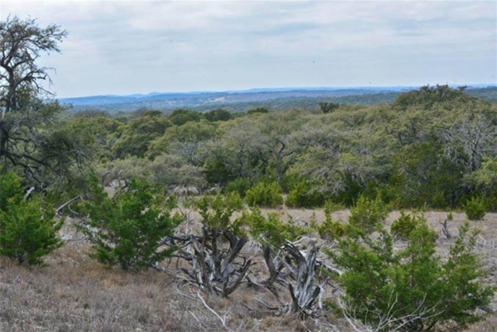 Lot 177 Blackbuck Ridge Dr - Photo 1
