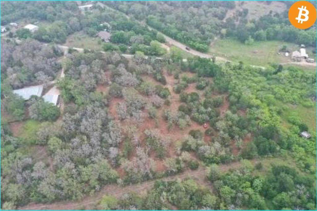 Lot 3 Sayers Rd - Photo 1
