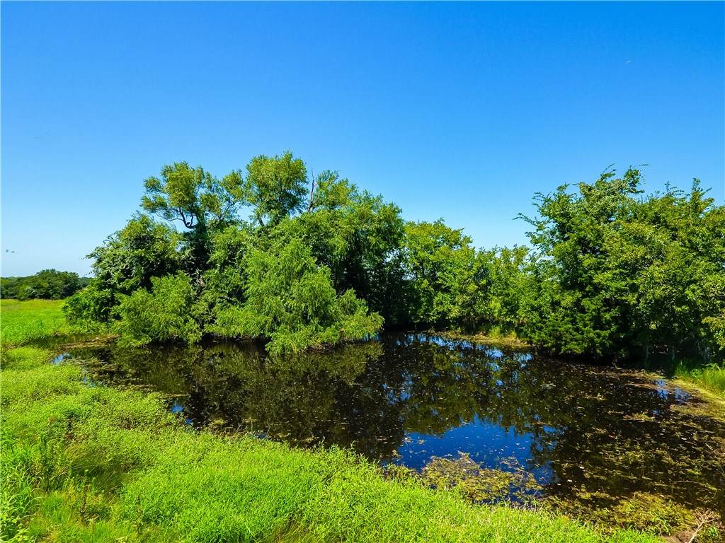 000 Taylorsville Rd - Photo 1