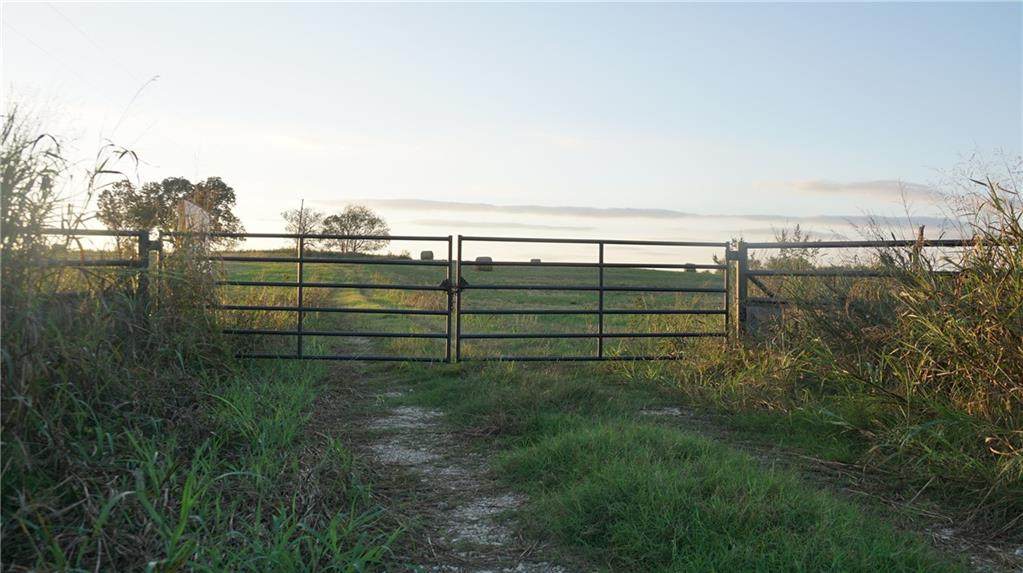 1147 Farm Road 486 - Photo 1