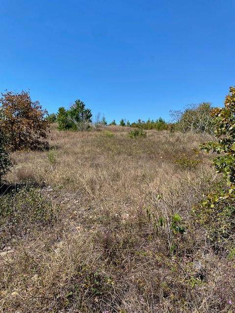 Lot 4 Village Forest Dr - Photo 1