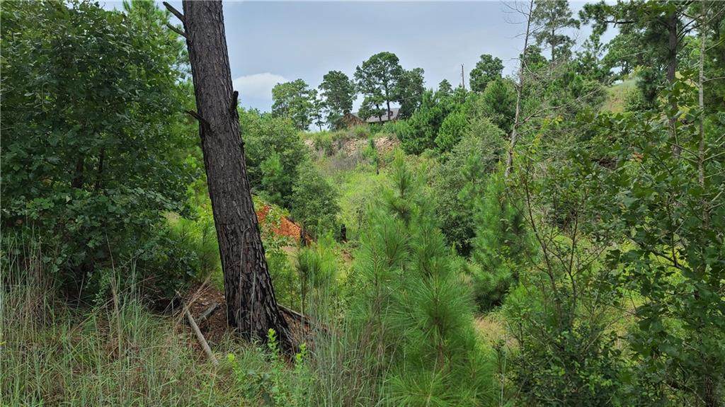 000 Wahane Ln - Photo 1