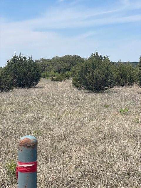 Tract 29 County Road 3900 - Photo 1
