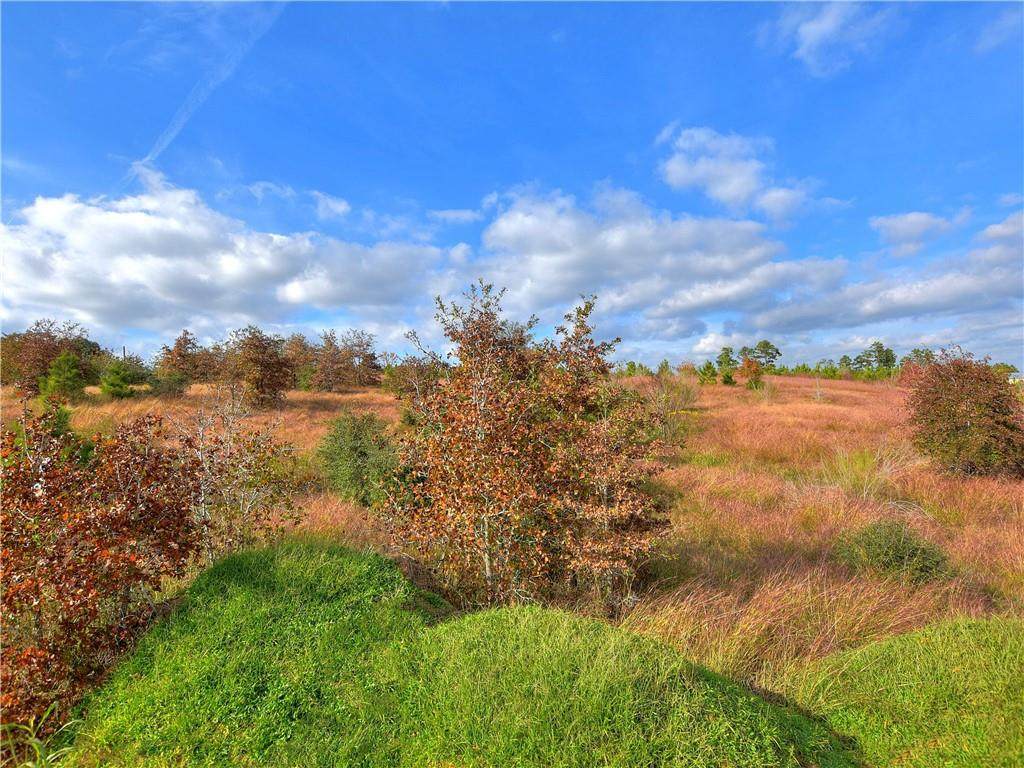 Lot 3 Village Forest Dr - Photo 1