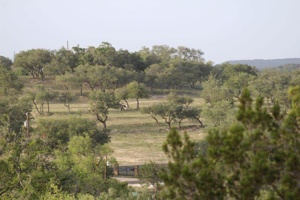 27127 F M Road 1431 Highway - Photo 1