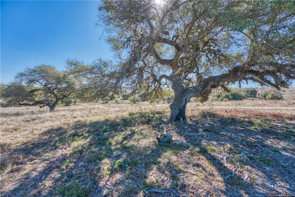 Lot 28 Stanton Ranch Rd - Photo 1