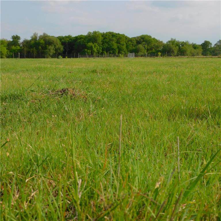 5 ac TBD County Road 211 - Photo 1