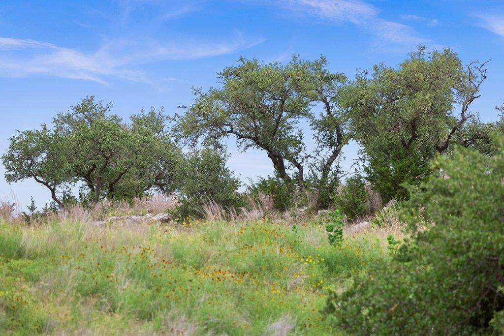 292 Scenic Hills Ct - Photo 1