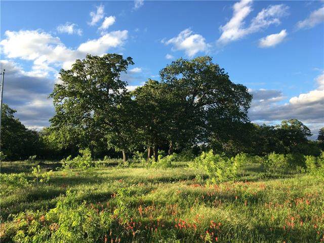 000 Woodhaven - Photo 1