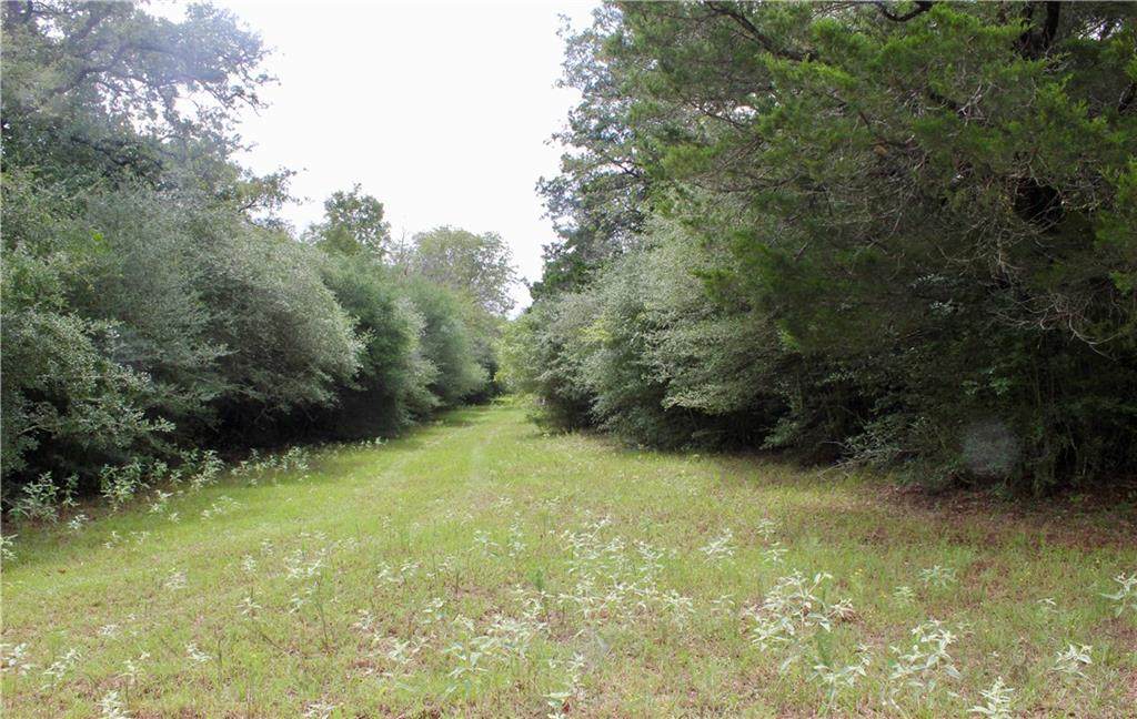 PID 30531 County Road 413 - Photo 1