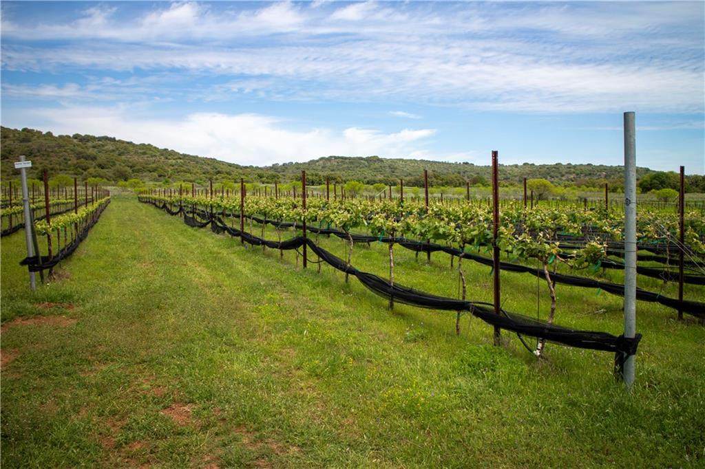 000 County Road 359 - Photo 1