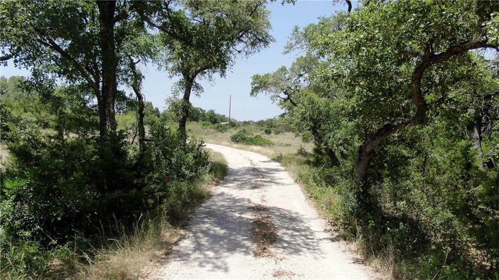 921 Oak Grove Rd - Photo 1