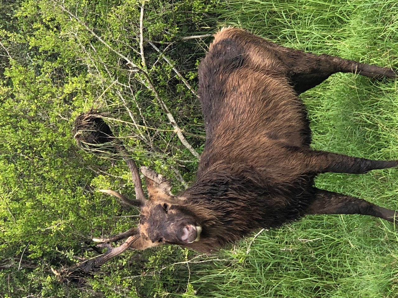 305 Cr 305 - Photo 1