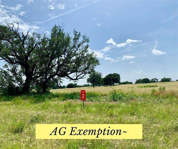 Lot 2 Fm 963 - Photo 1