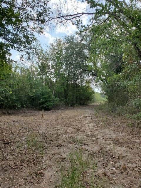 3675 Callihan Rd - Photo 1