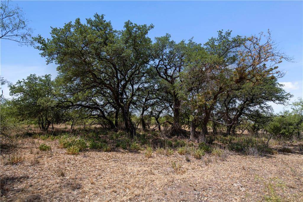 282 County Road 118 - Photo 1