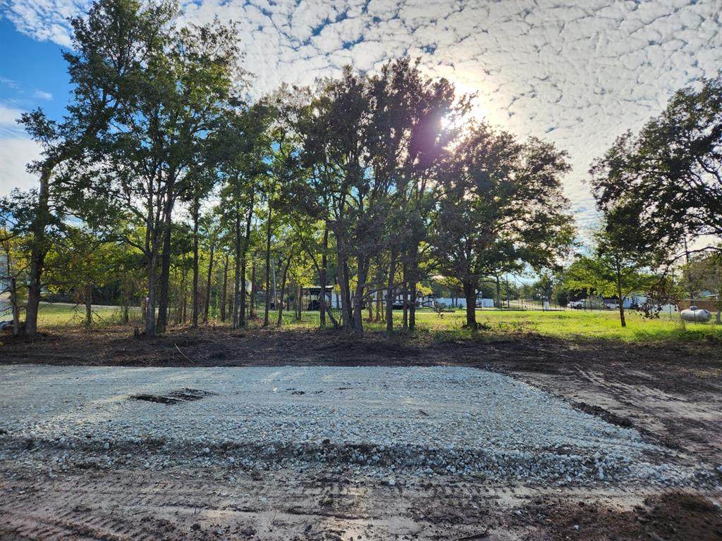0 Live Oak Path - Photo 1