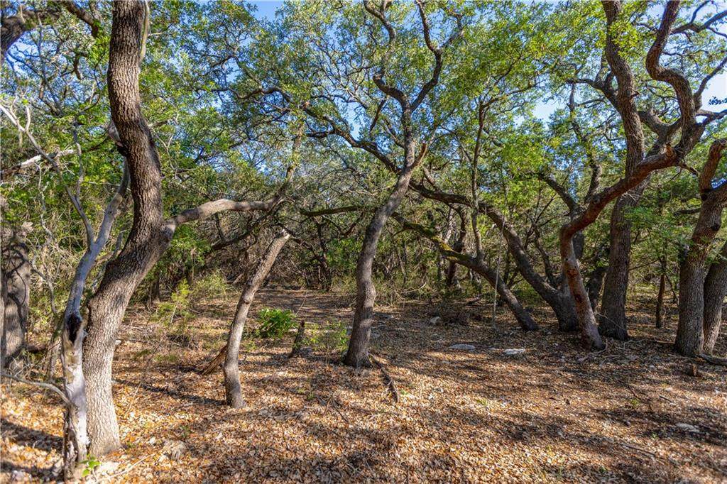 710 Settlers Rd - Photo 1