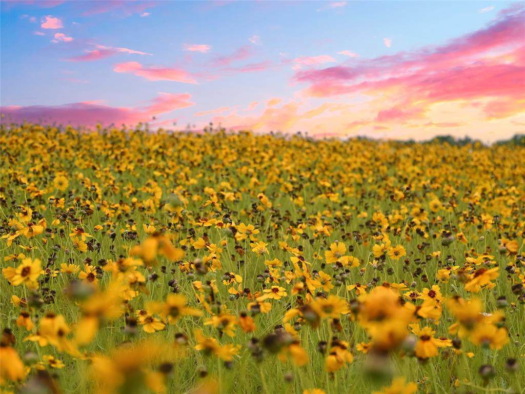 1515 County Road 315 - Photo 1