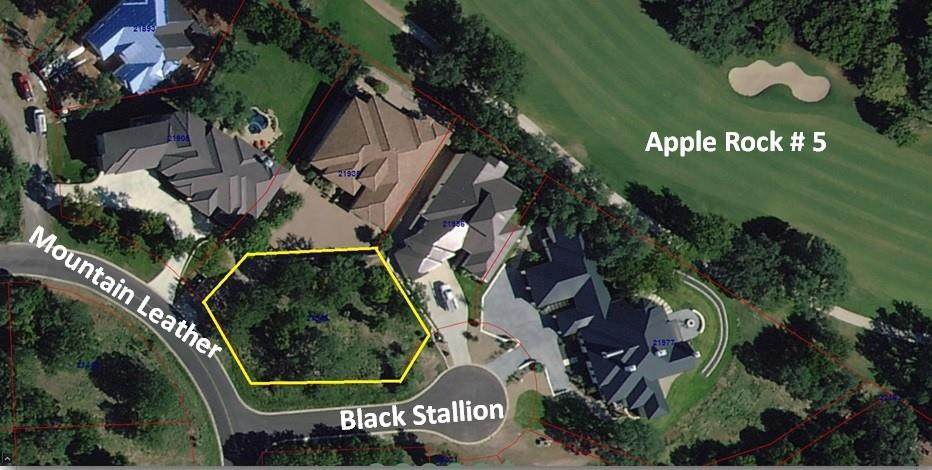 100 Black Stallion - Photo 1