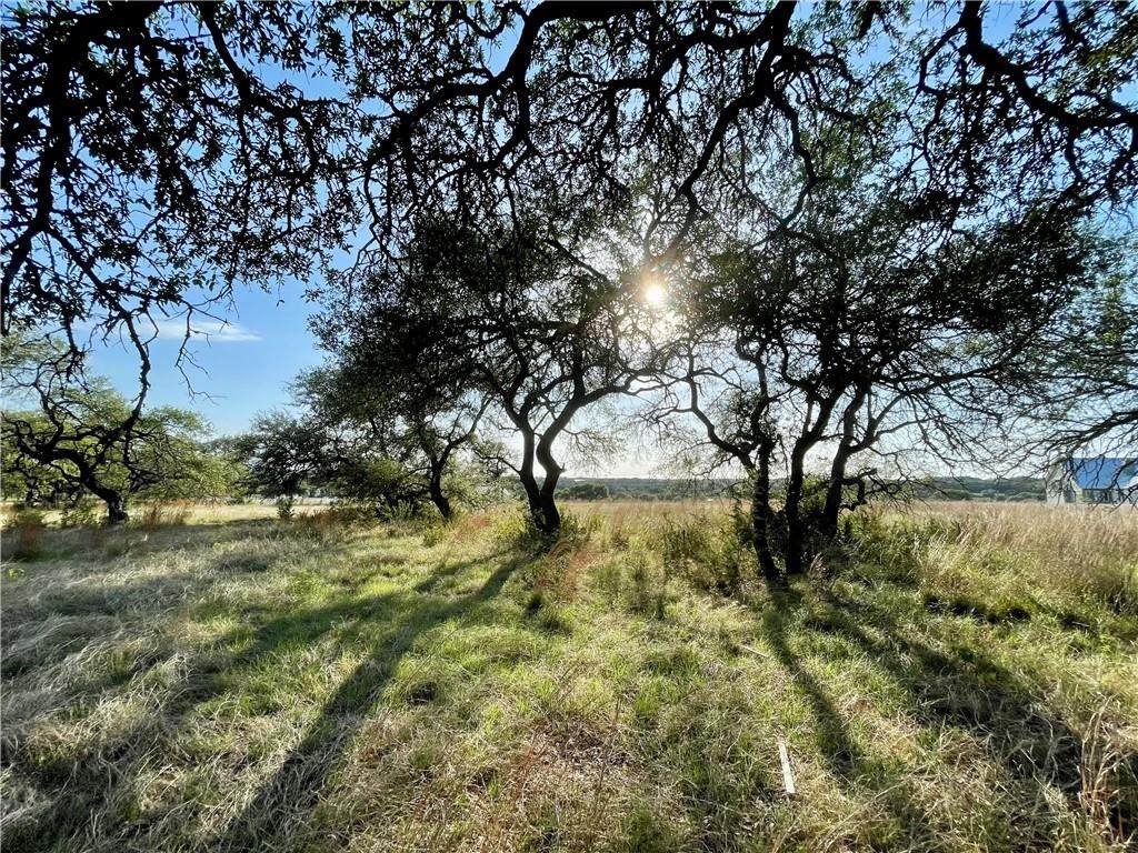 Lot 9 Medlin Creek Loop - Photo 1