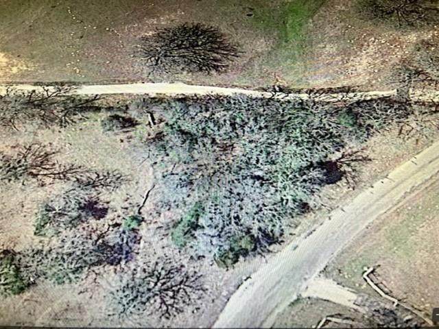 TBD County Road 305 - Photo 1