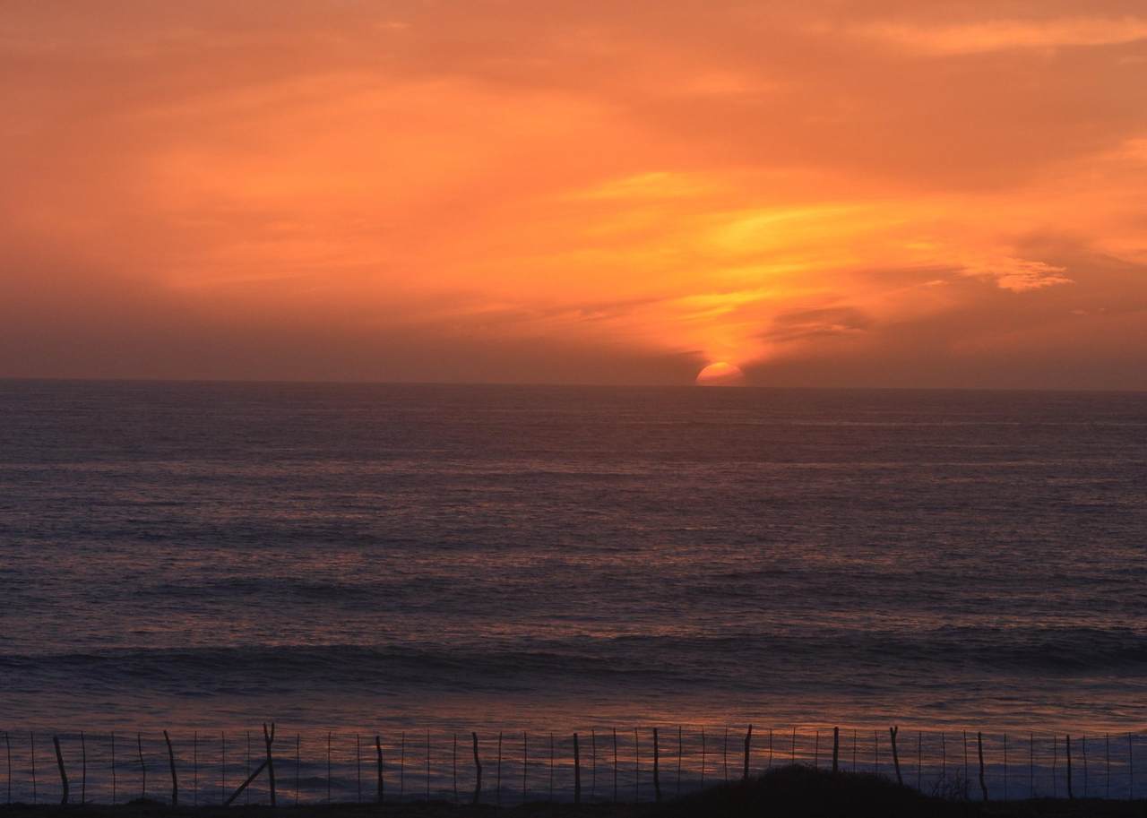 Oceanfront - Photo 1
