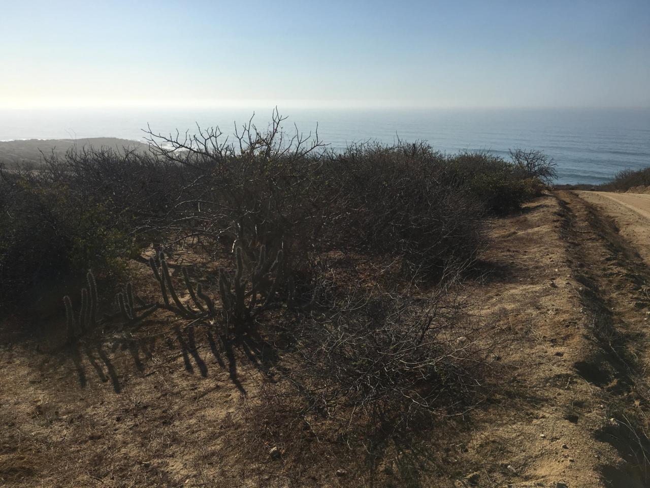LOT 9 Vista Del Mar - Photo 1