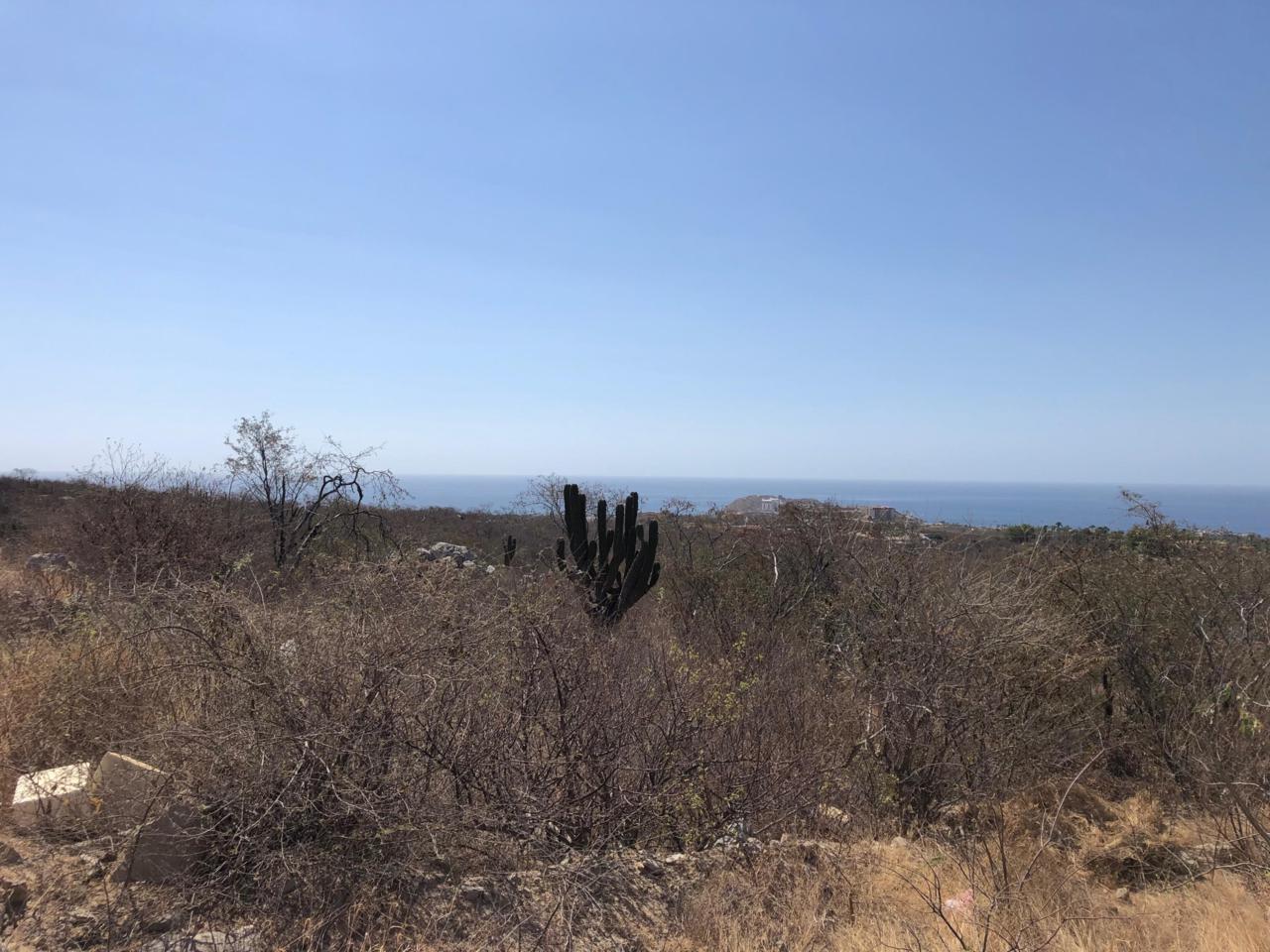 2 Via De La Paloma - Photo 1