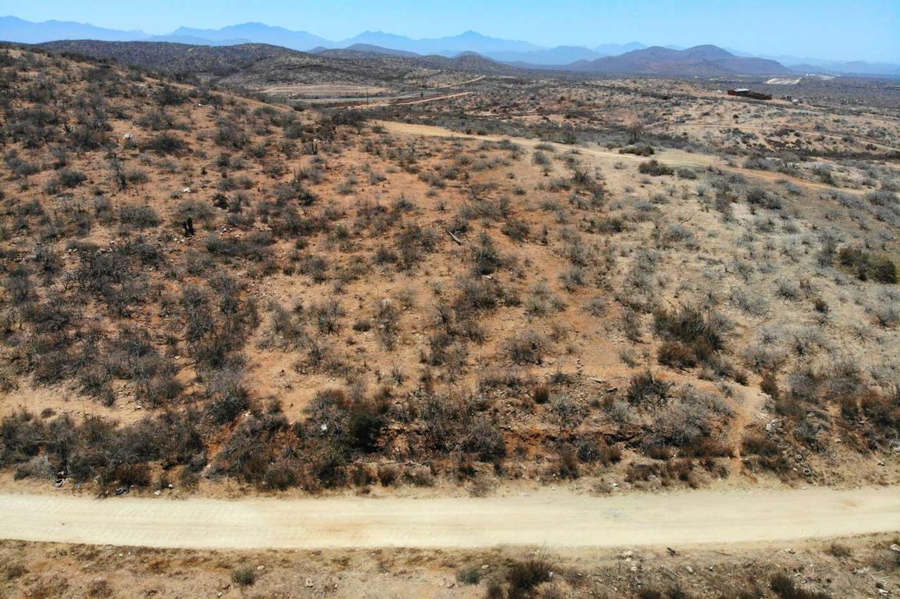 Calle Del Huerto - Photo 1